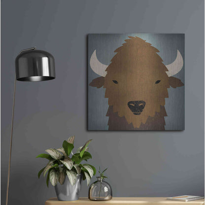 Luxe Metal Art 'Buffalo II' by Ryan Fowler, Metal Wall Art,24x24