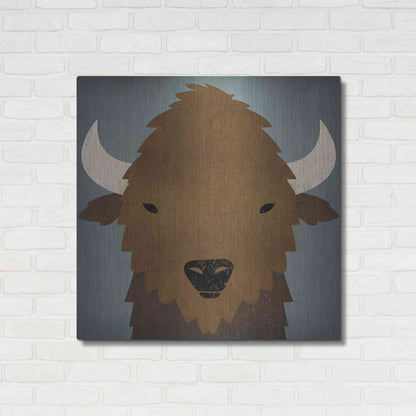 Luxe Metal Art 'Buffalo II' by Ryan Fowler, Metal Wall Art,36x36