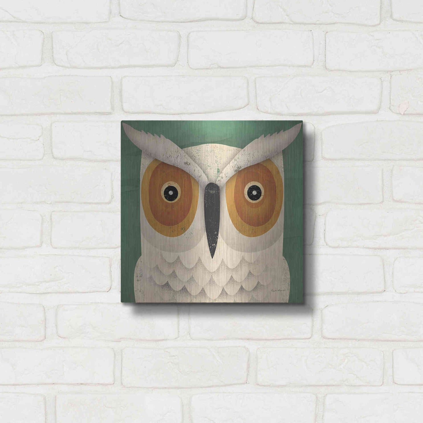 Luxe Metal Art 'White Owl' by Ryan Fowler, Metal Wall Art,12x12