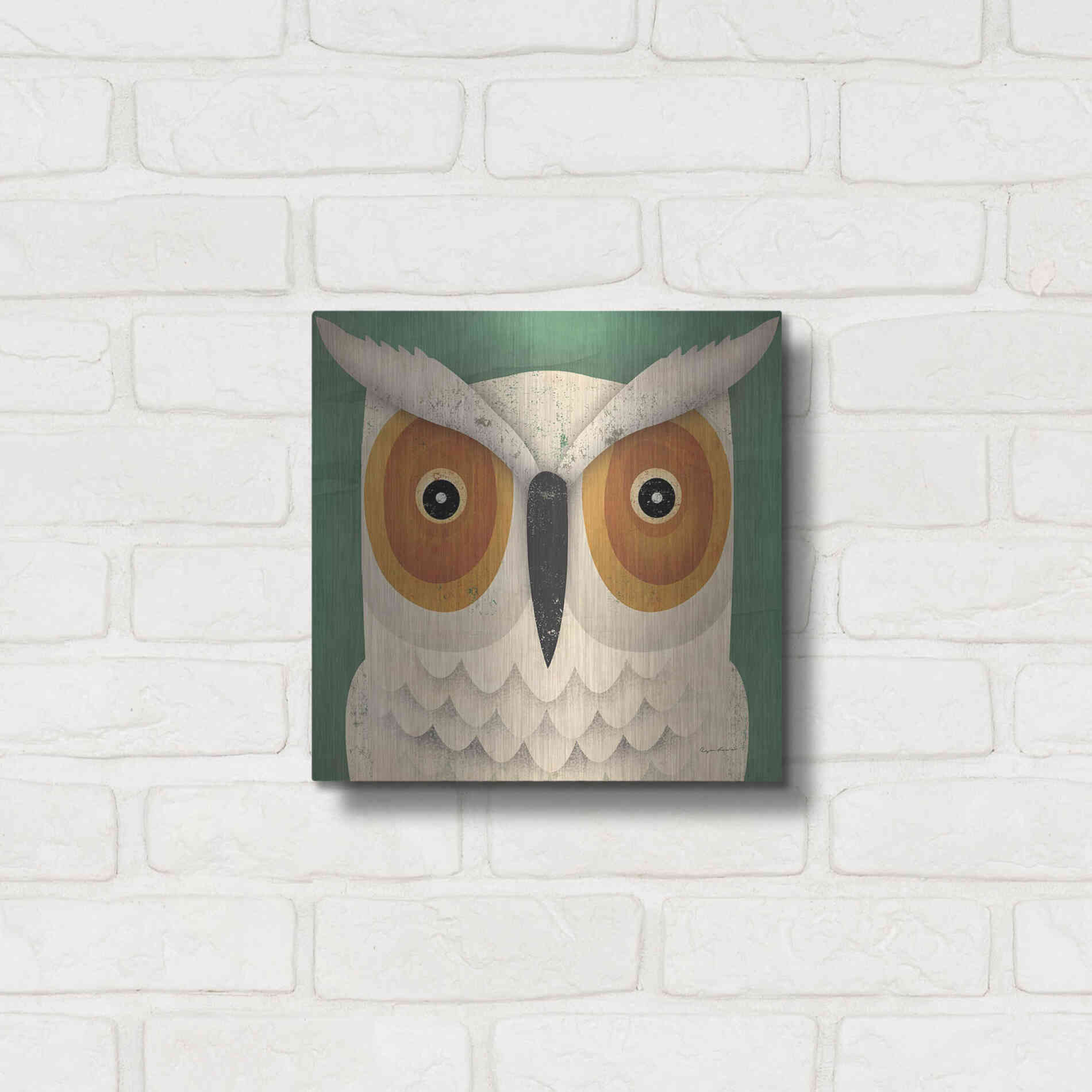 Luxe Metal Art 'White Owl' by Ryan Fowler, Metal Wall Art,12x12