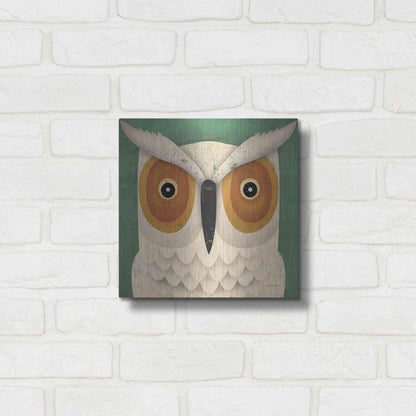 Luxe Metal Art 'White Owl' by Ryan Fowler, Metal Wall Art,12x12
