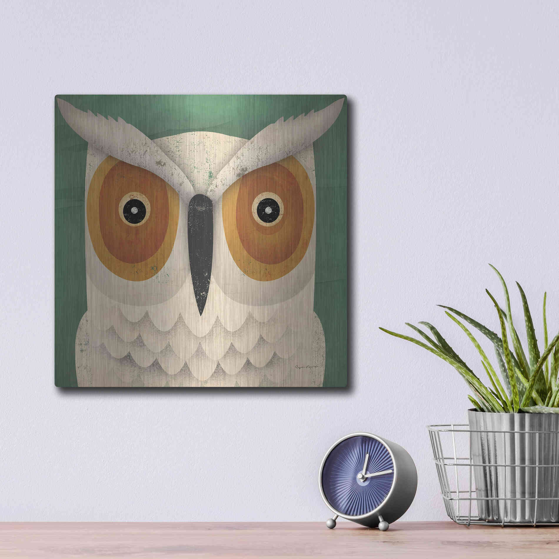 Luxe Metal Art 'White Owl' by Ryan Fowler, Metal Wall Art,12x12
