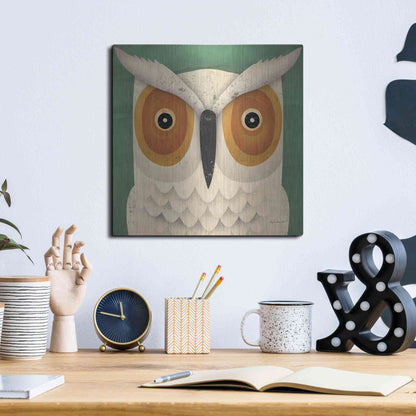 Luxe Metal Art 'White Owl' by Ryan Fowler, Metal Wall Art,12x12