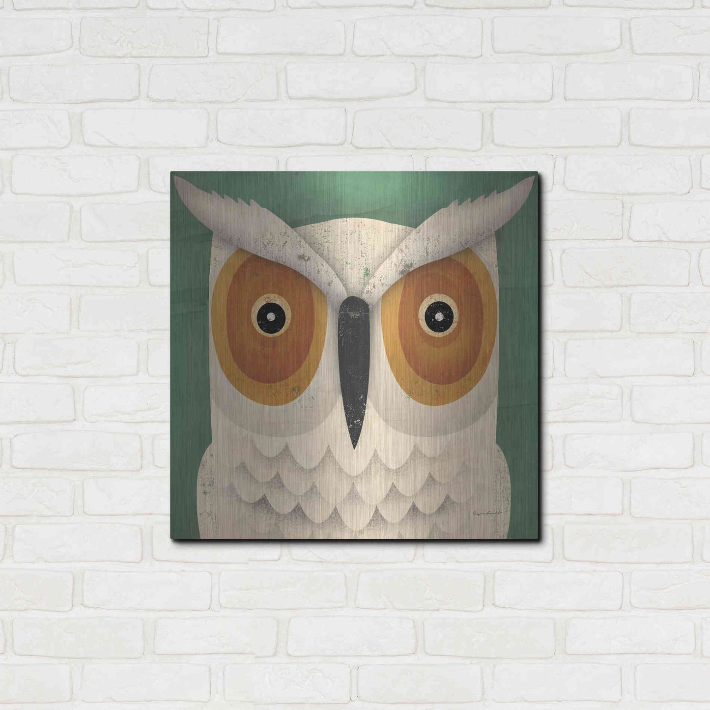 Luxe Metal Art 'White Owl' by Ryan Fowler, Metal Wall Art,24x24