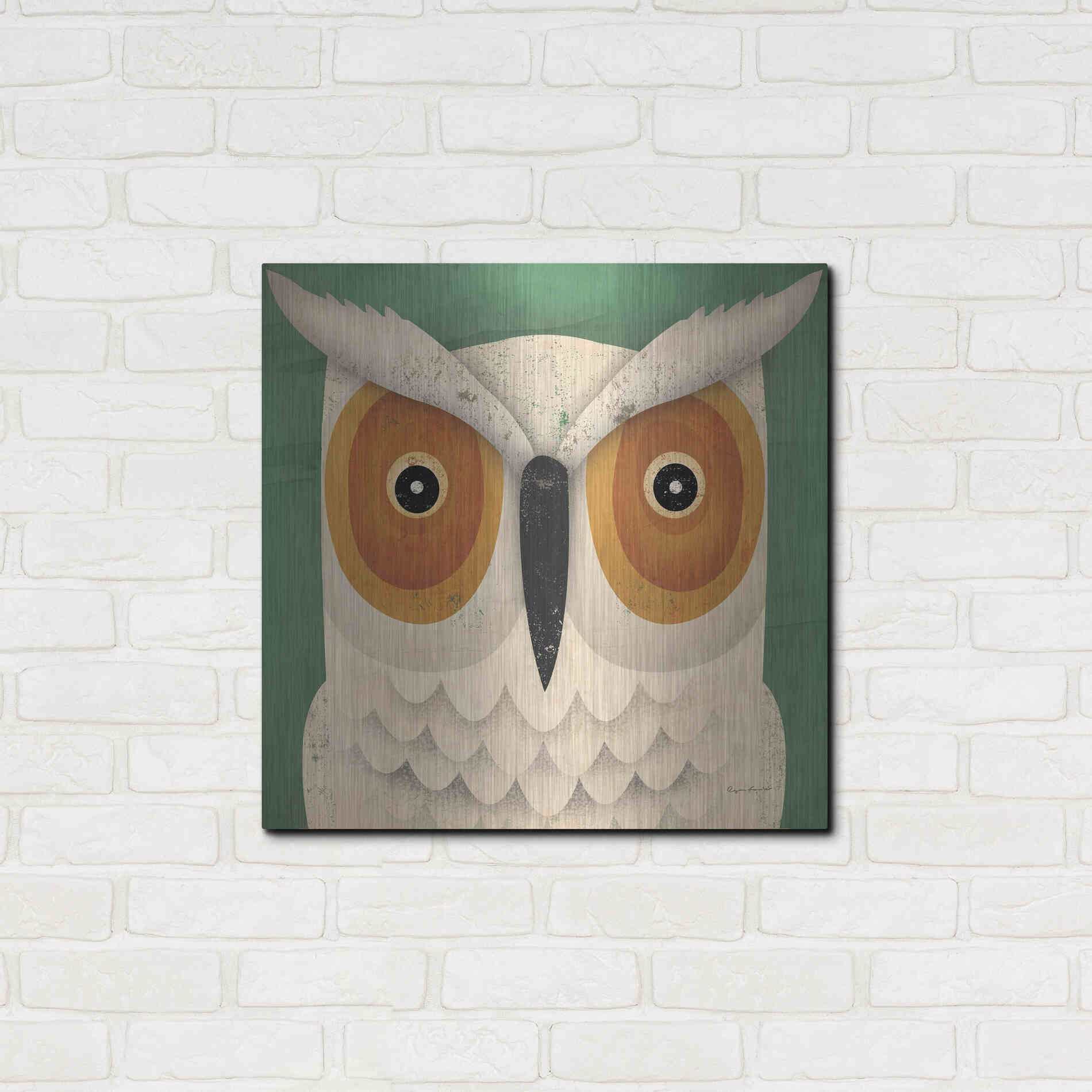 Luxe Metal Art 'White Owl' by Ryan Fowler, Metal Wall Art,24x24