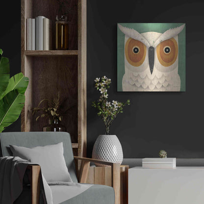 Luxe Metal Art 'White Owl' by Ryan Fowler, Metal Wall Art,24x24