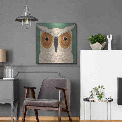 Luxe Metal Art 'White Owl' by Ryan Fowler, Metal Wall Art,24x24