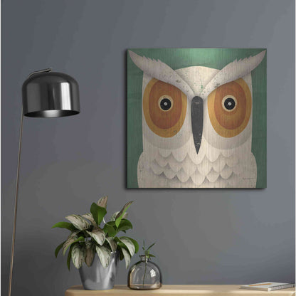 Luxe Metal Art 'White Owl' by Ryan Fowler, Metal Wall Art,24x24