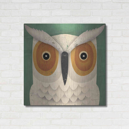 Luxe Metal Art 'White Owl' by Ryan Fowler, Metal Wall Art,36x36