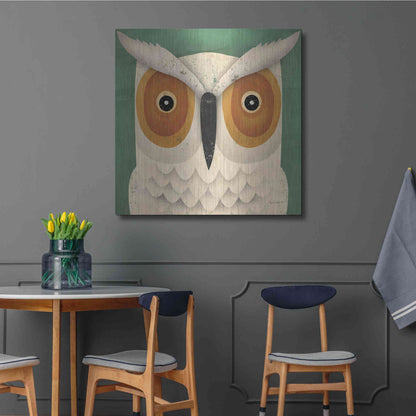 Luxe Metal Art 'White Owl' by Ryan Fowler, Metal Wall Art,36x36