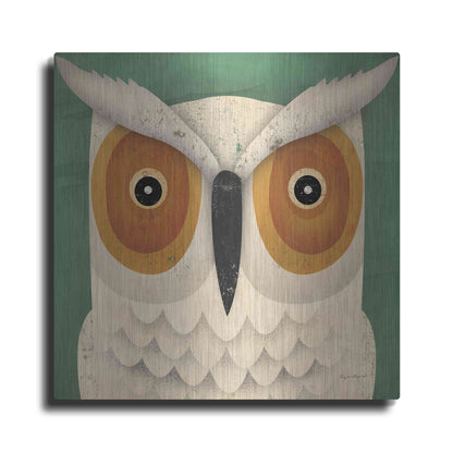 Luxe Metal Art 'White Owl' by Ryan Fowler, Metal Wall Art