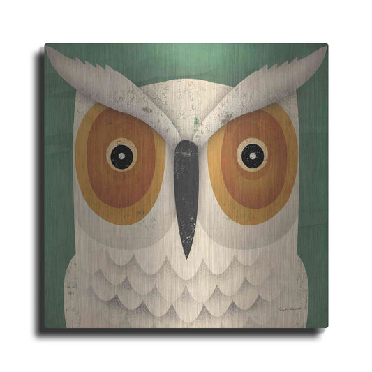 Luxe Metal Art 'White Owl' by Ryan Fowler, Metal Wall Art