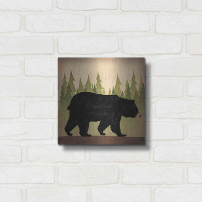Luxe Metal Art 'Take A Hike Bear No Words' by Ryan Fowler, Metal Wall Art,12x12