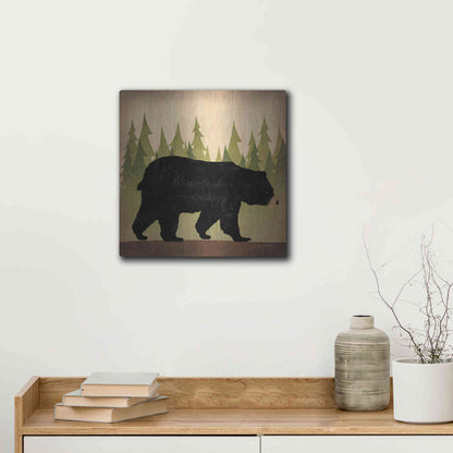 Luxe Metal Art 'Take A Hike Bear No Words' by Ryan Fowler, Metal Wall Art,12x12