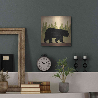 Luxe Metal Art 'Take A Hike Bear No Words' by Ryan Fowler, Metal Wall Art,12x12