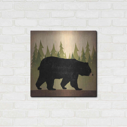 Luxe Metal Art 'Take A Hike Bear No Words' by Ryan Fowler, Metal Wall Art,24x24