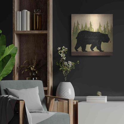 Luxe Metal Art 'Take A Hike Bear No Words' by Ryan Fowler, Metal Wall Art,24x24