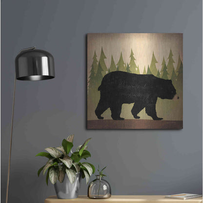 Luxe Metal Art 'Take A Hike Bear No Words' by Ryan Fowler, Metal Wall Art,24x24