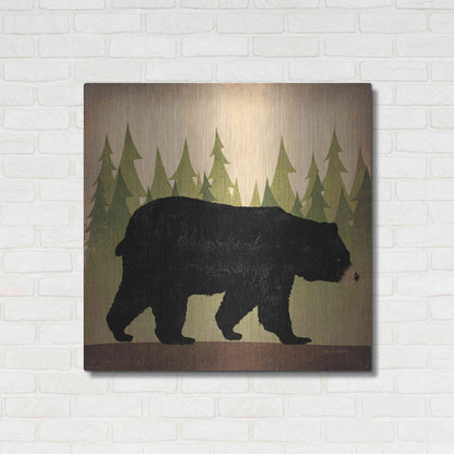 Luxe Metal Art 'Take A Hike Bear No Words' by Ryan Fowler, Metal Wall Art,36x36