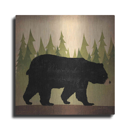 Luxe Metal Art 'Take A Hike Bear No Words' by Ryan Fowler, Metal Wall Art