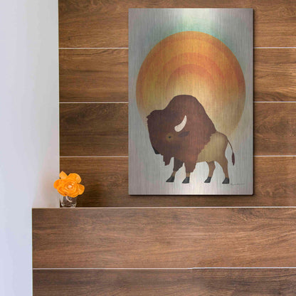 Luxe Metal Art 'Blazing Sun Bison' by Ryan Fowler, Metal Wall Art,12x16