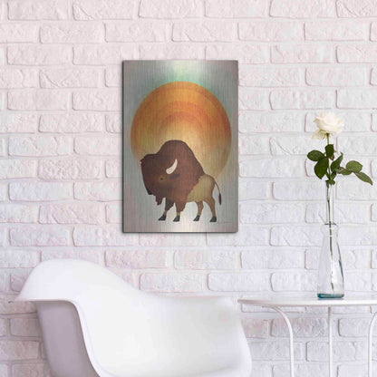 Luxe Metal Art 'Blazing Sun Bison' by Ryan Fowler, Metal Wall Art,16x24