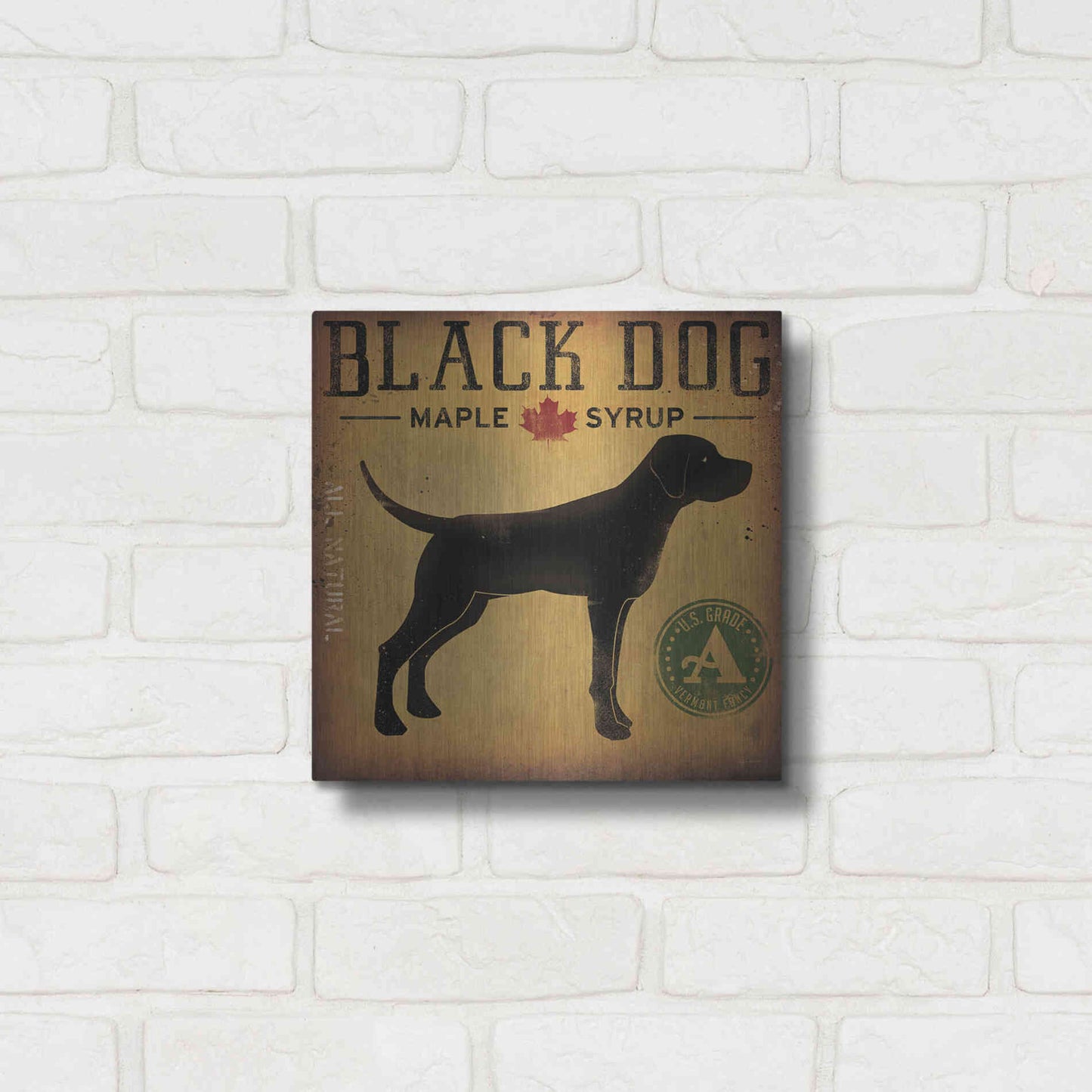 Luxe Metal Art 'Black Dog At Show No VT' by Ryan Fowler, Metal Wall Art,12x12