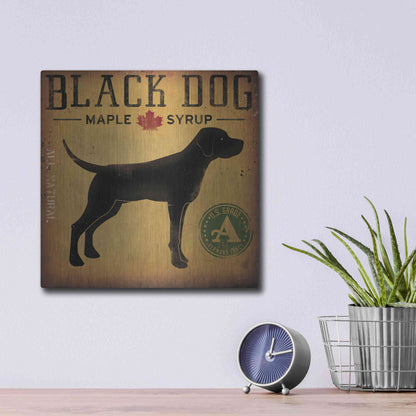 Luxe Metal Art 'Black Dog At Show No VT' by Ryan Fowler, Metal Wall Art,12x12