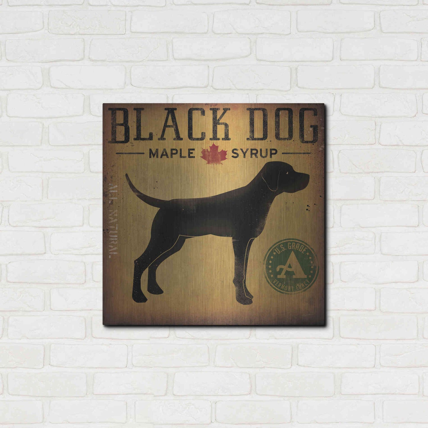 Luxe Metal Art 'Black Dog At Show No VT' by Ryan Fowler, Metal Wall Art,24x24