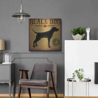 Luxe Metal Art 'Black Dog At Show No VT' by Ryan Fowler, Metal Wall Art,24x24