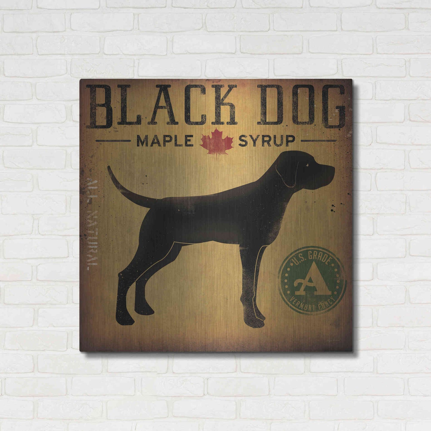 Luxe Metal Art 'Black Dog At Show No VT' by Ryan Fowler, Metal Wall Art,36x36