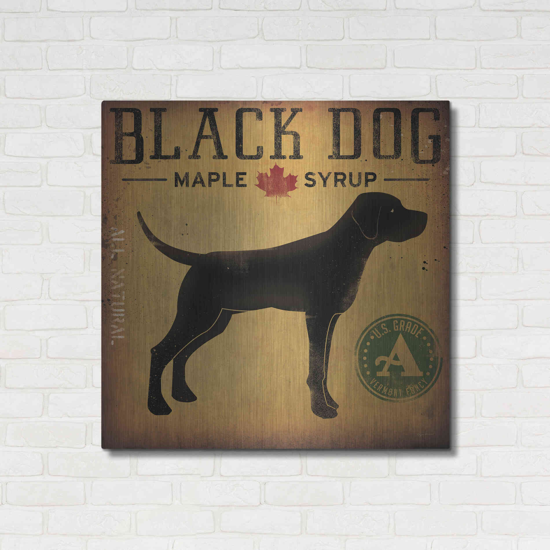 Luxe Metal Art 'Black Dog At Show No VT' by Ryan Fowler, Metal Wall Art,36x36