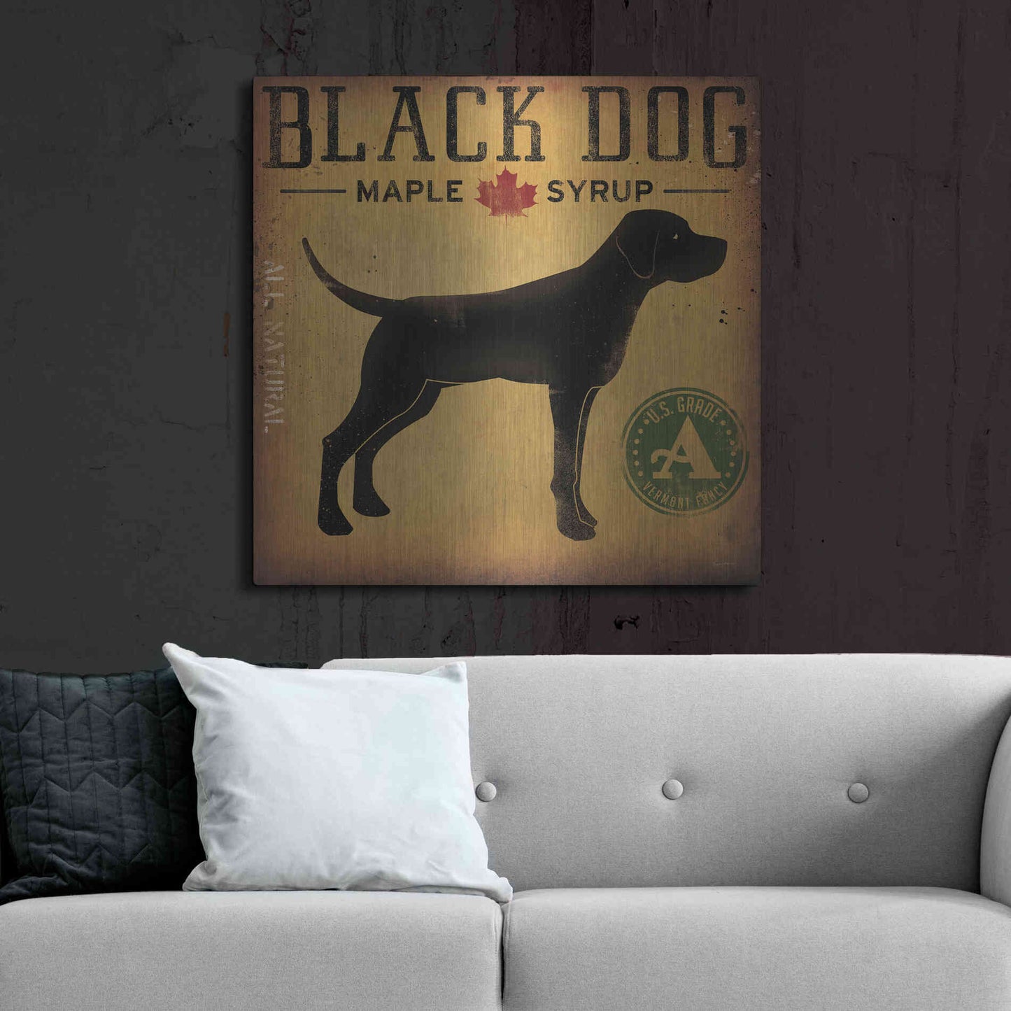 Luxe Metal Art 'Black Dog At Show No VT' by Ryan Fowler, Metal Wall Art,36x36