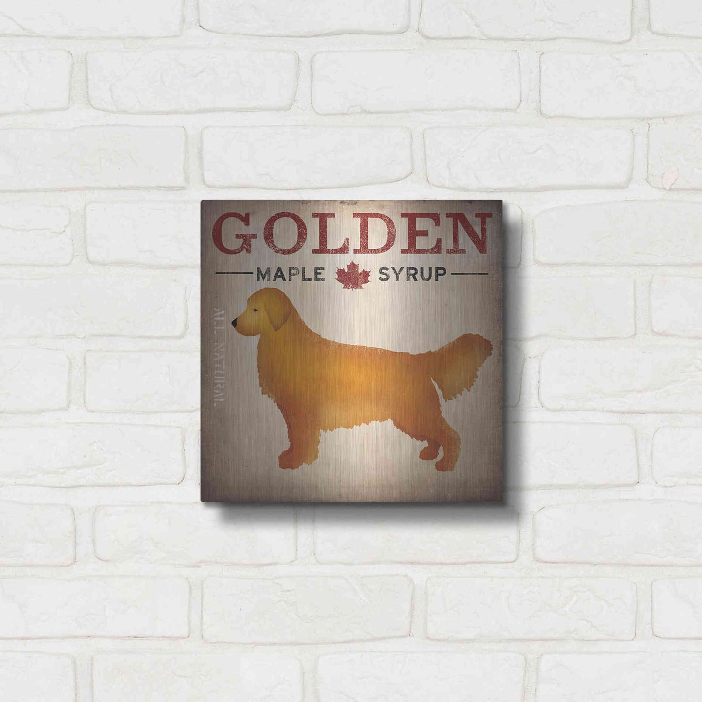 Luxe Metal Art 'Golden Dog At Show No VT' by Ryan Fowler, Metal Wall Art,12x12