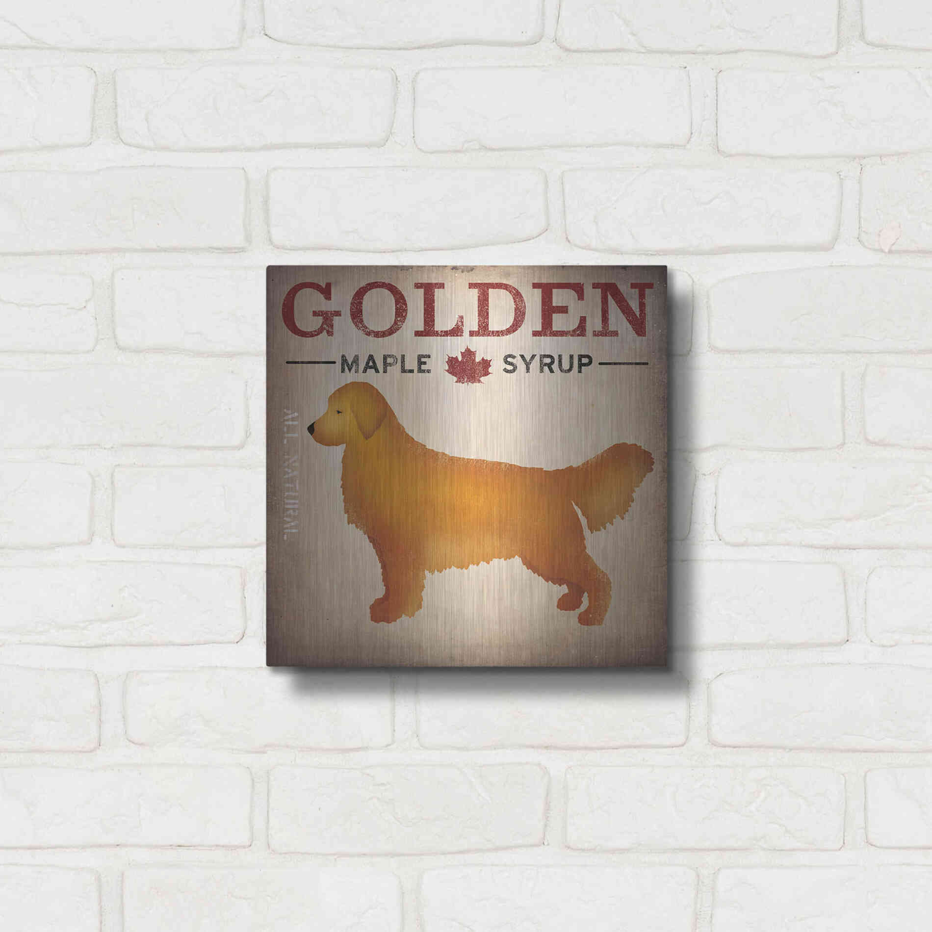 Luxe Metal Art 'Golden Dog At Show No VT' by Ryan Fowler, Metal Wall Art,12x12