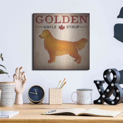 Luxe Metal Art 'Golden Dog At Show No VT' by Ryan Fowler, Metal Wall Art,12x12