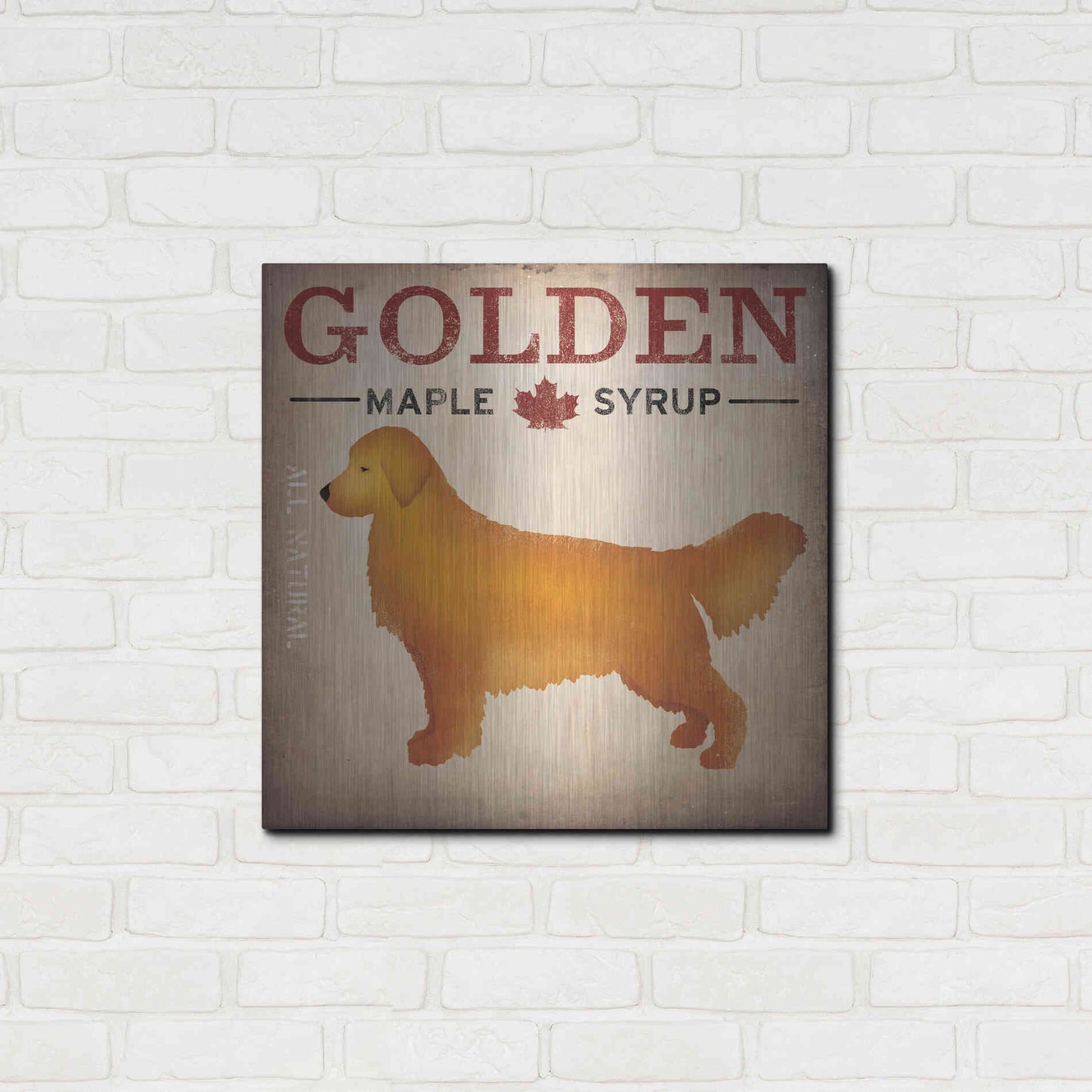 Luxe Metal Art 'Golden Dog At Show No VT' by Ryan Fowler, Metal Wall Art,24x24