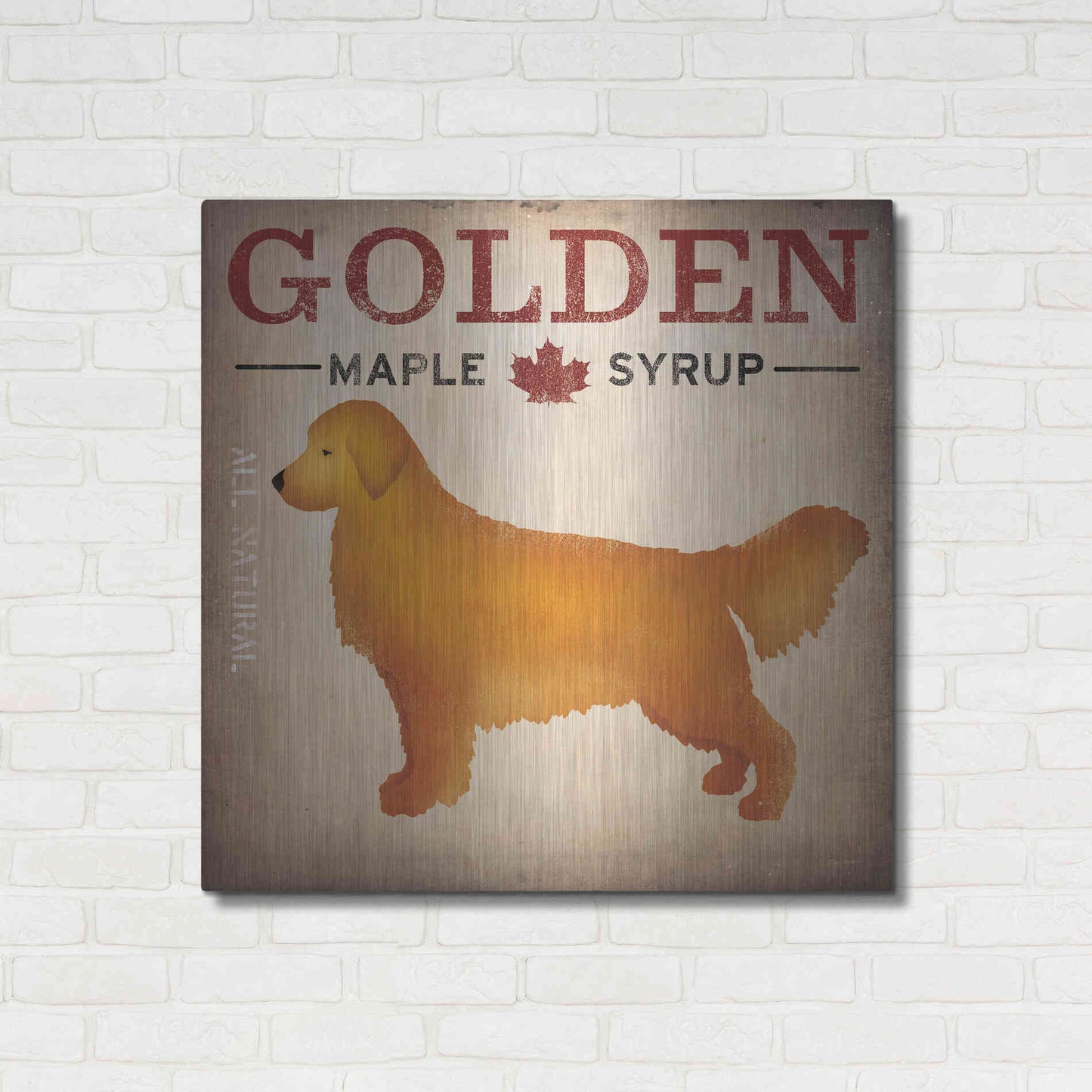 Luxe Metal Art 'Golden Dog At Show No VT' by Ryan Fowler, Metal Wall Art,36x36