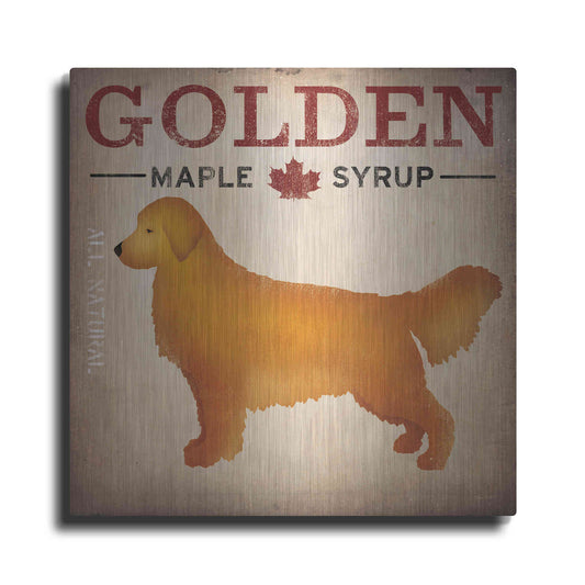 Luxe Metal Art 'Golden Dog At Show No VT' by Ryan Fowler, Metal Wall Art