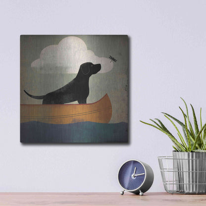 Luxe Metal Art 'Black Dog Canoe Ride' by Ryan Fowler, Metal Wall Art,12x12