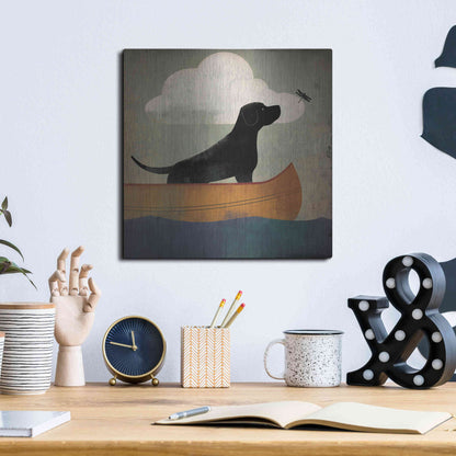 Luxe Metal Art 'Black Dog Canoe Ride' by Ryan Fowler, Metal Wall Art,12x12