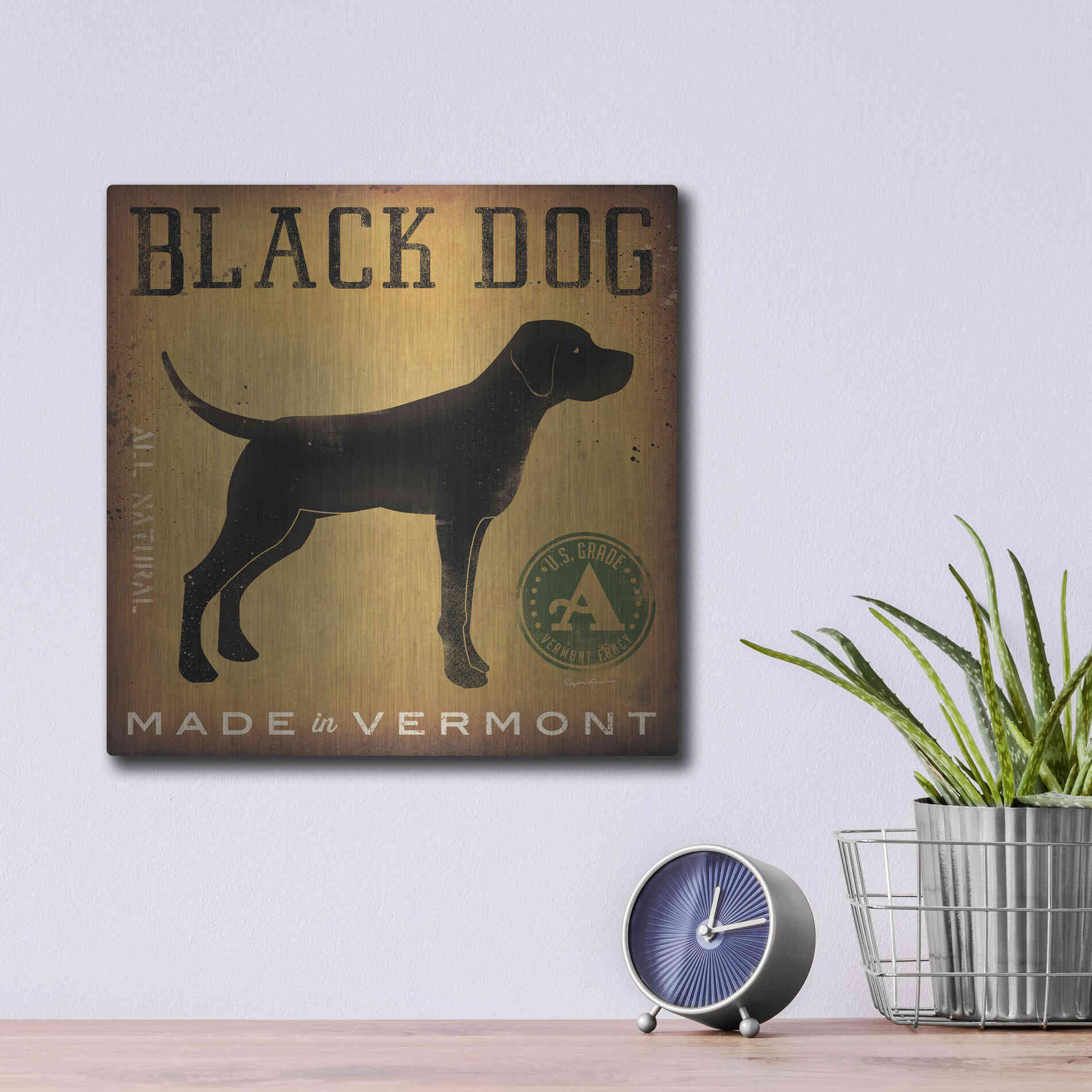 Luxe Metal Art 'Black Dog At Show V2' by Ryan Fowler, Metal Wall Art,12x12