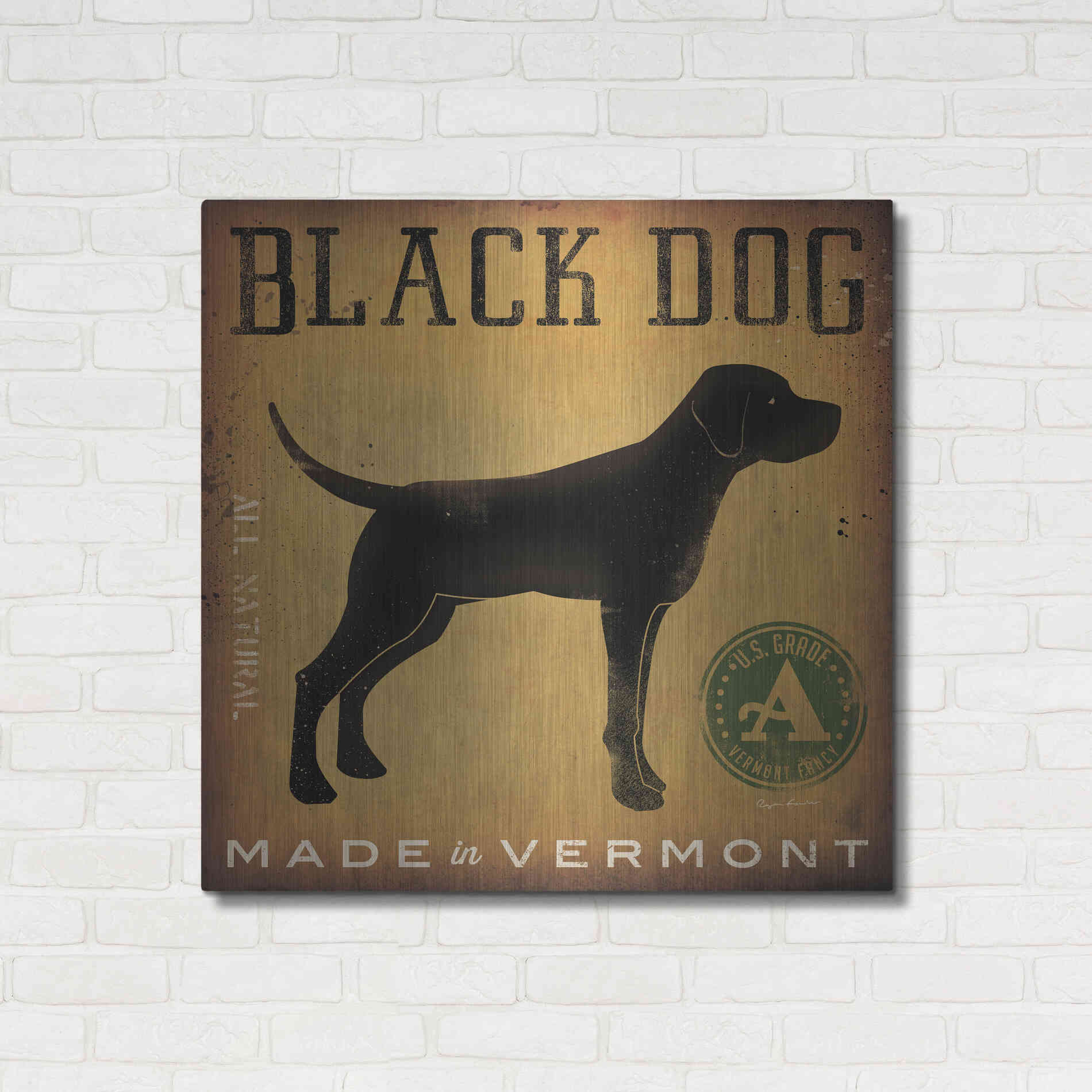 Luxe Metal Art 'Black Dog At Show V2' by Ryan Fowler, Metal Wall Art,36x36