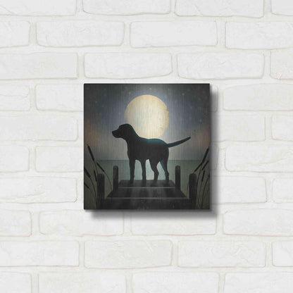 Luxe Metal Art 'Moonrise Black Dog' by Ryan Fowler, Metal Wall Art,12x12