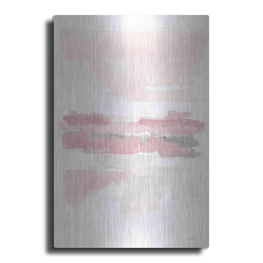 Luxe Metal Art 'Blush Wetlands Crop' by Mike Schick, Metal Wall Art