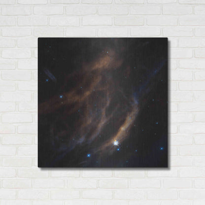 Luxe Metal Art 'Within Canis Majoris' Hubble Space Telescope Metal Wall Art,36x36