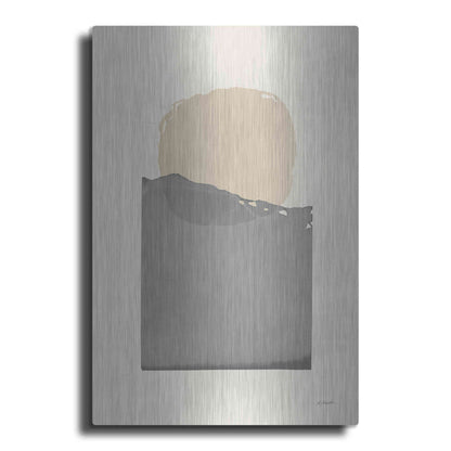 Luxe Metal Art 'Buoyant Neutral' by Mike Schick, Metal Wall Art