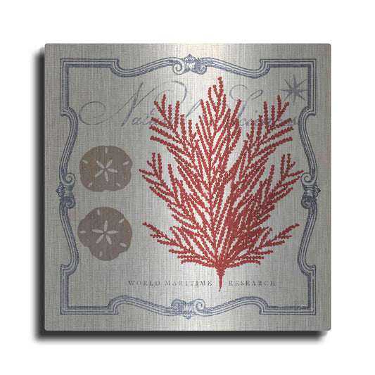 Luxe Metal Art 'Pacific Sea Fern' by Studio Mousseau, Metal Wall Art