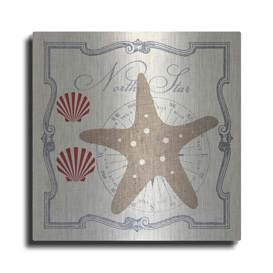 Luxe Metal Art 'Pacific Starfish' by Studio Mousseau, Metal Wall Art