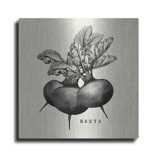 Luxe Metal Art 'Linen Vegetable BW Sketch Beets' by Studio Mousseau, Metal Wall Art